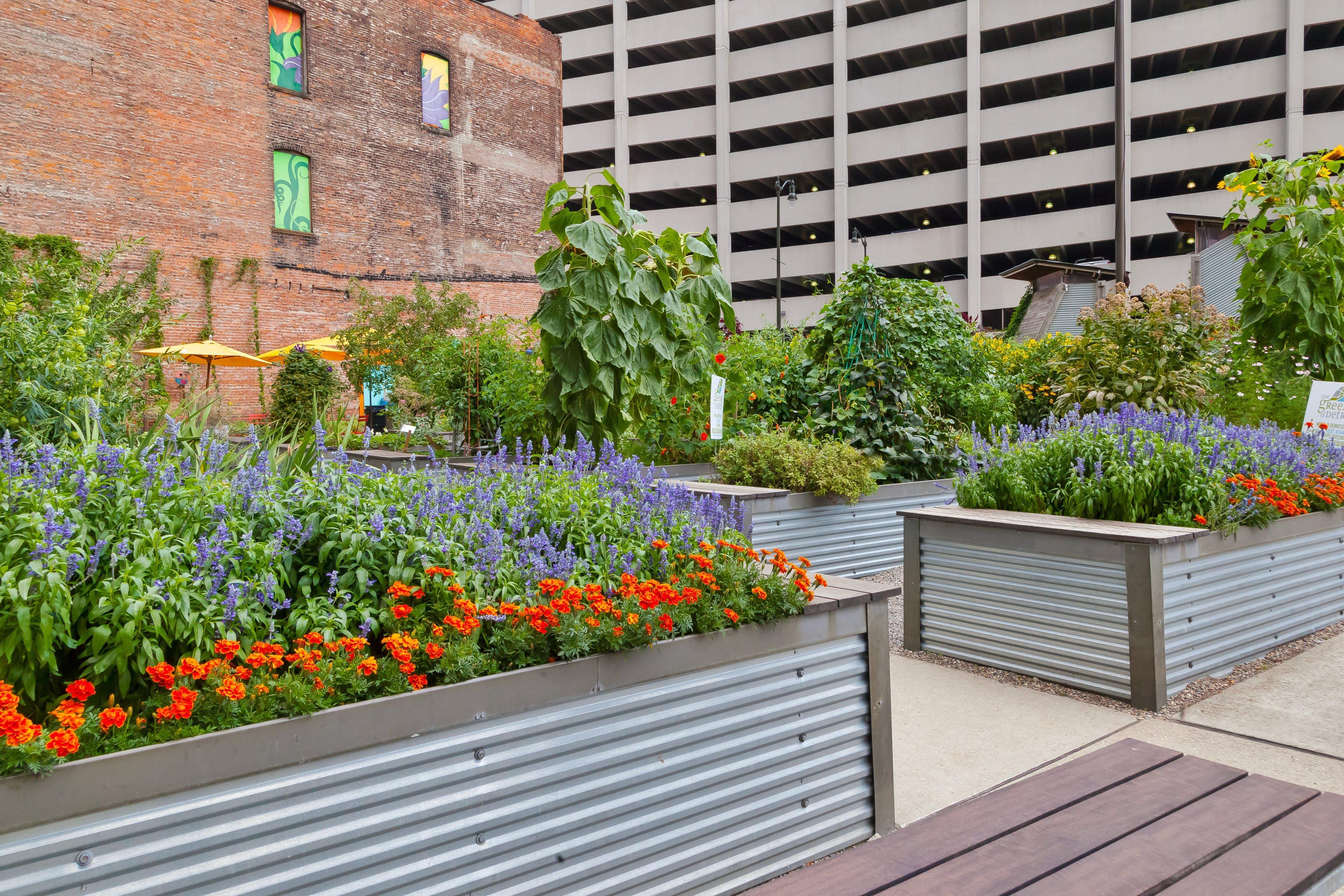 Indigo Downtown By Ihg Detroit